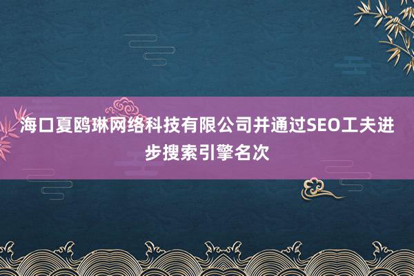 海口夏鸥琳网络科技有限公司并通过SEO工夫进步搜索引擎名次