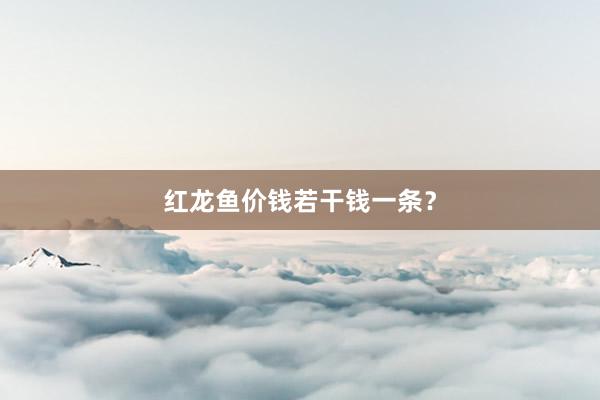 红龙鱼价钱若干钱一条？