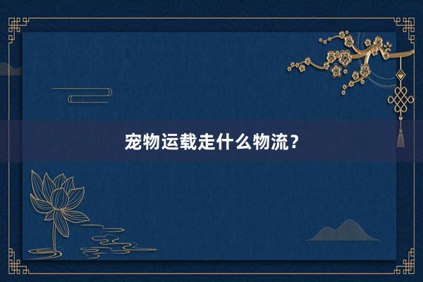 宠物运载走什么物流？