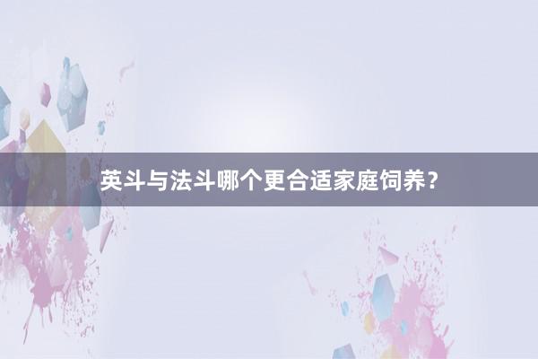 英斗与法斗哪个更合适家庭饲养？