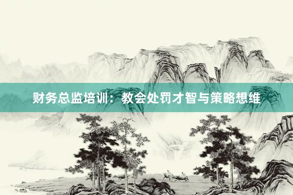 财务总监培训：教会处罚才智与策略想维